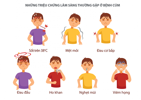 Bệnh Cúm Là Gì? Cách Nhận Biết, Phòng Ngừa và Điều Trị Hiệu Quả